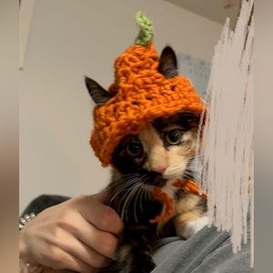 Handmade crochet pumpkin hat for kitten/small animal